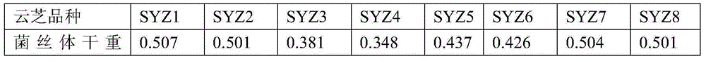 Liquid-fermented high-yield polysaccharide bacterial strain of coriolus versicolor and breeding method thereof