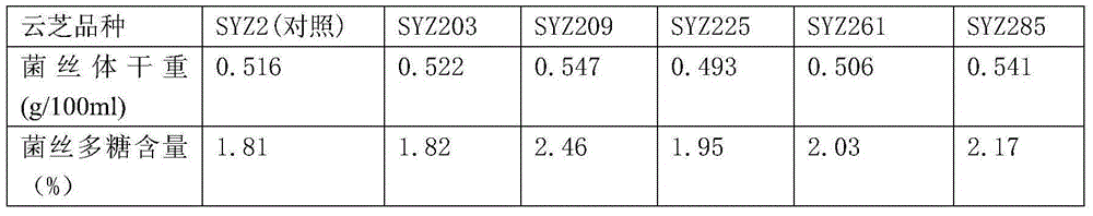 Liquid-fermented high-yield polysaccharide bacterial strain of coriolus versicolor and breeding method thereof