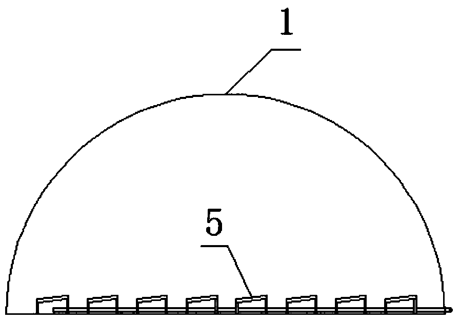 Artificial cultivation method of Collybia albuminosa