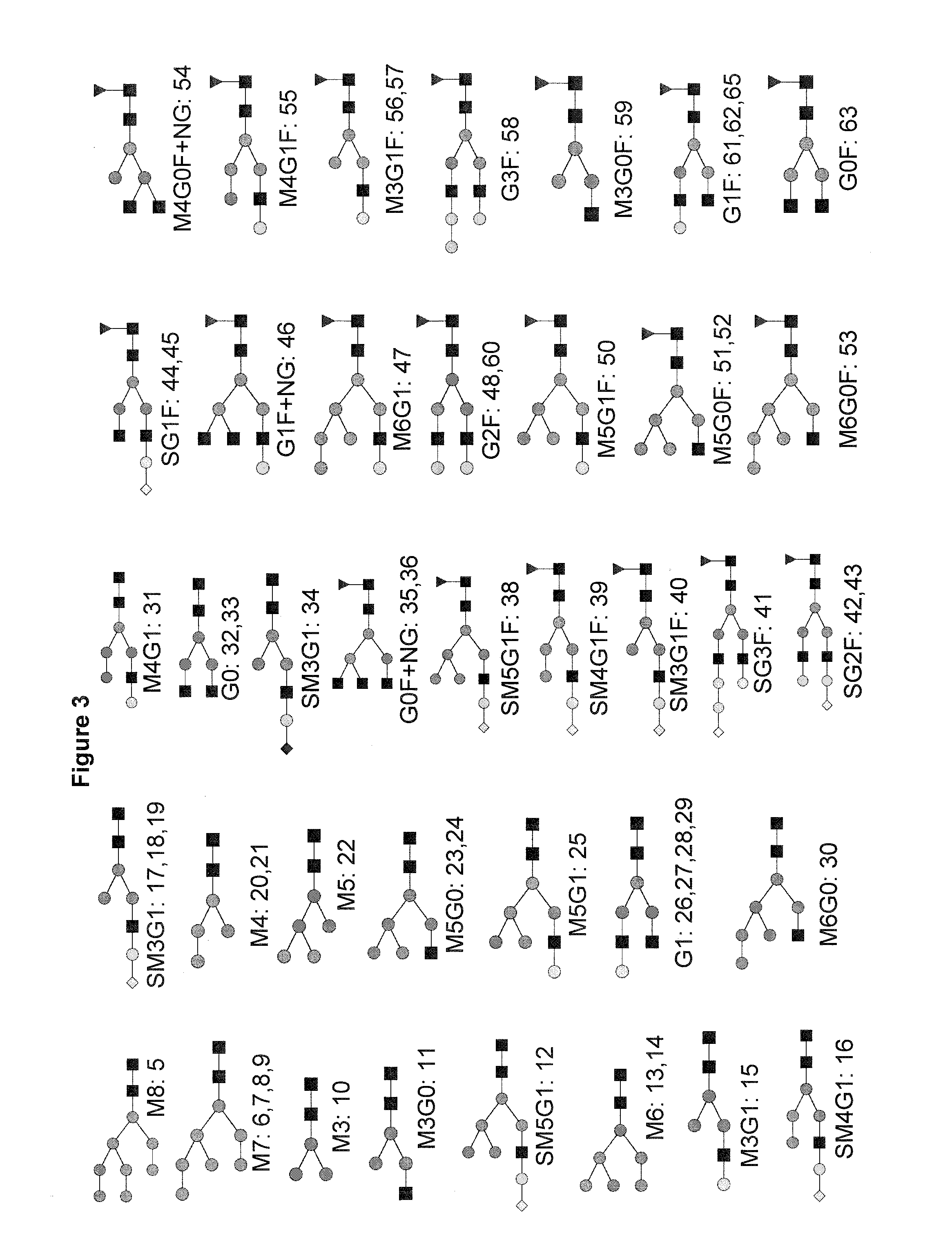 Improved method of mapping glycans of glycoproteins