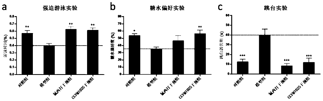 Bifidobacterium breve ccfm1025, its fermented food and its application