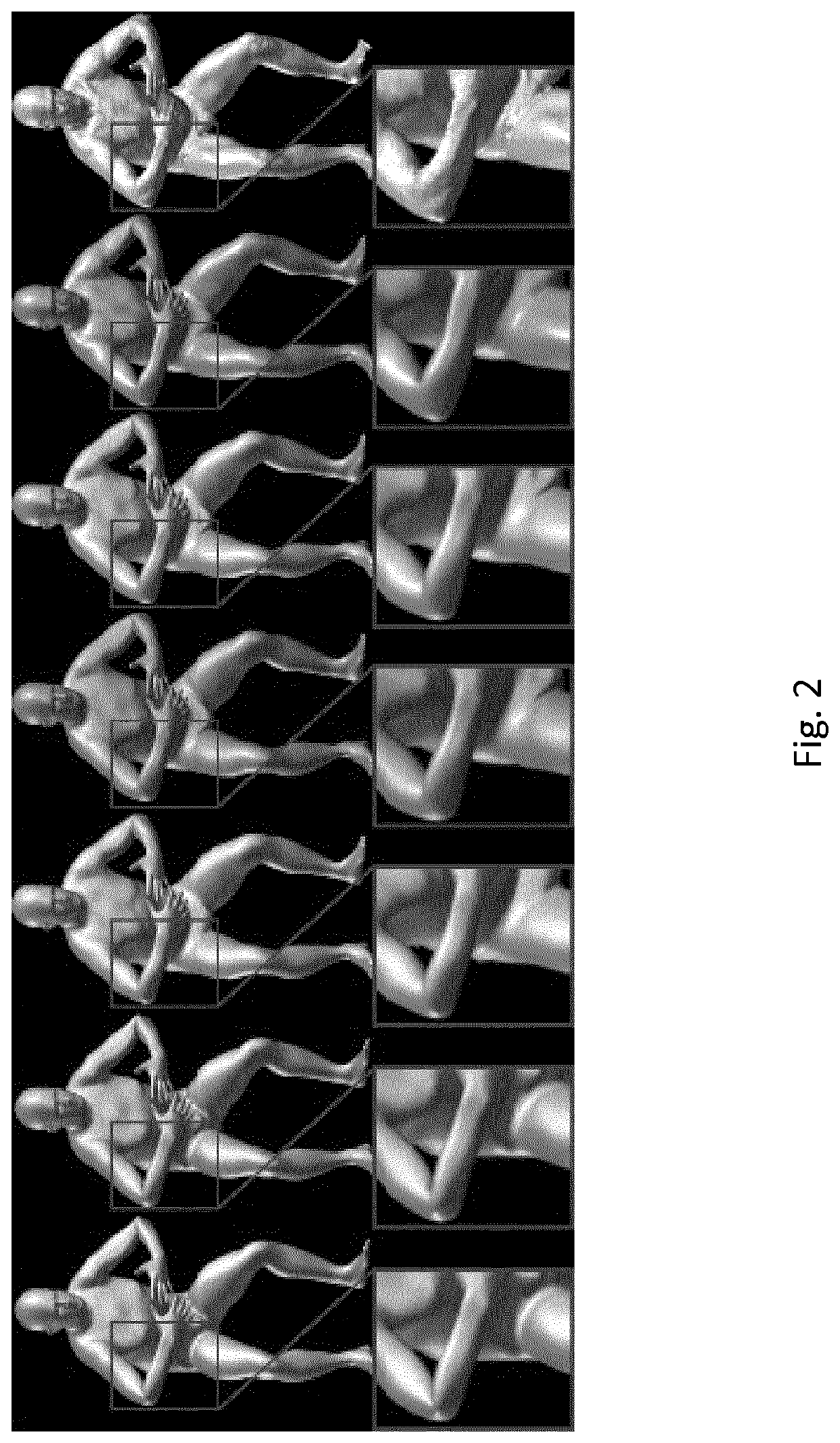 Skinned multi-person linear model