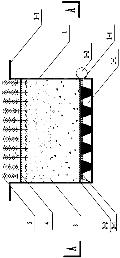 Ecological roof for rainwater utilization and air purification