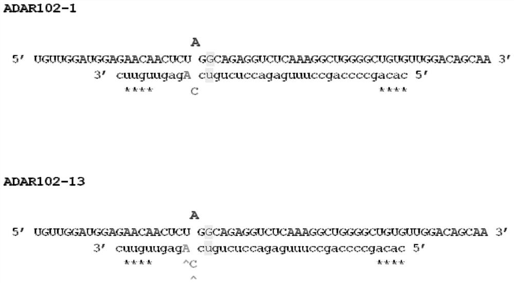 Chemically modified oligonucleotides for RNA editing