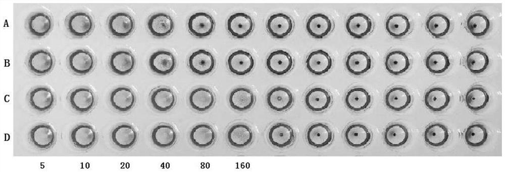 A preparation method of hemagglutination inhibitory antigen of Avian bacillus paragallinarum and application of the antigen