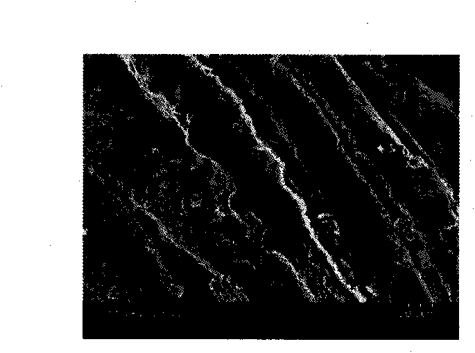 Method for preparing super-hydrophobic conductive cellulose fabrics by CNT (carbon nano tube) finishing technology