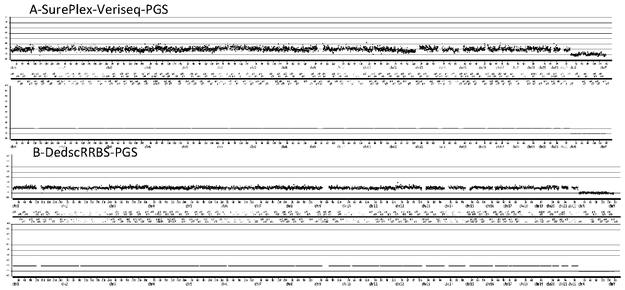 Method for conducting PGS and methylation analysis on biopsy cells by means of DedscRRBS analysis method