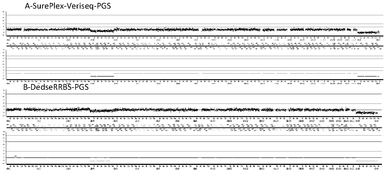 Method for conducting PGS and methylation analysis on biopsy cells by means of DedscRRBS analysis method