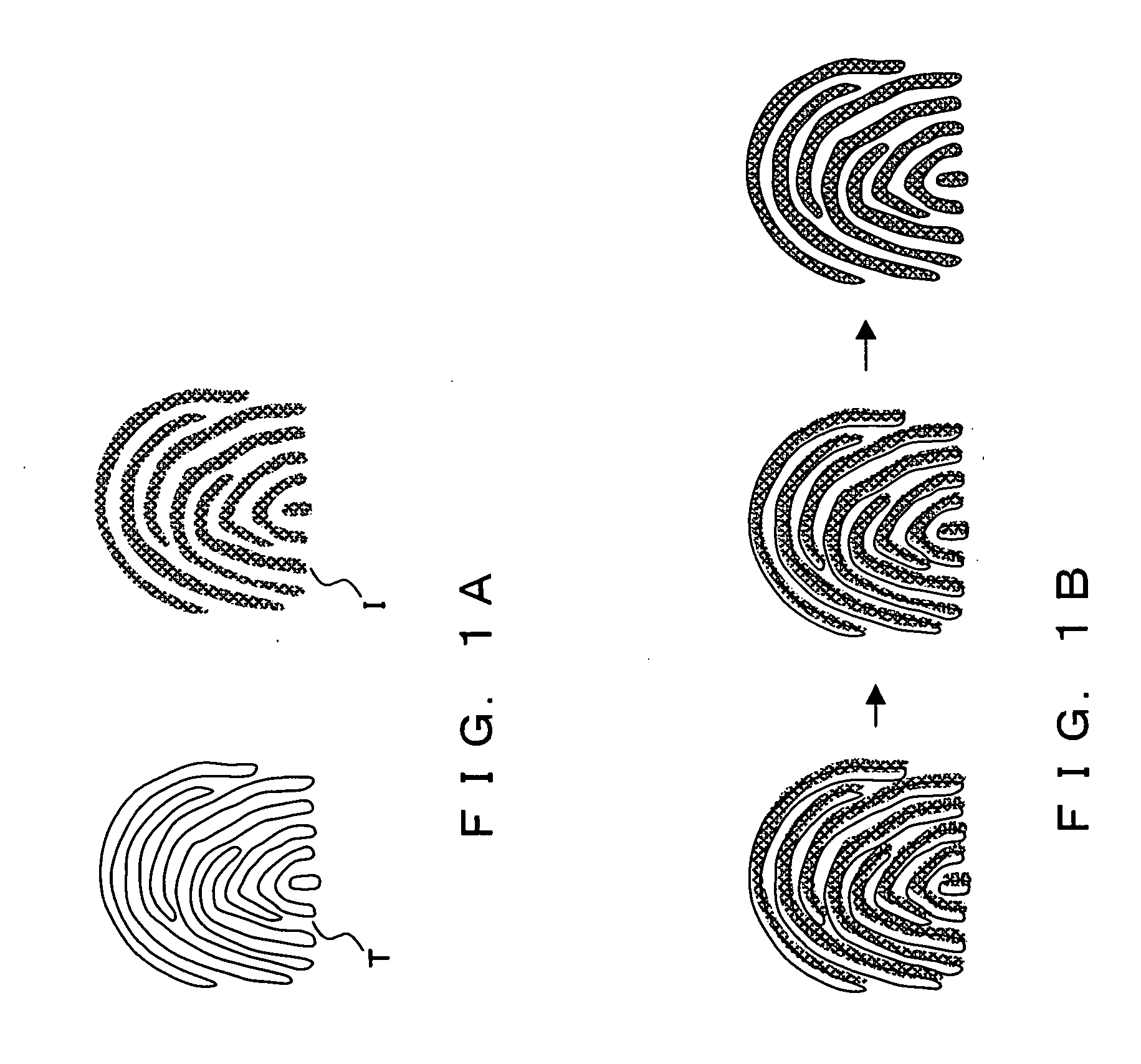 Image matching apparatus, image matching method, and image matching program