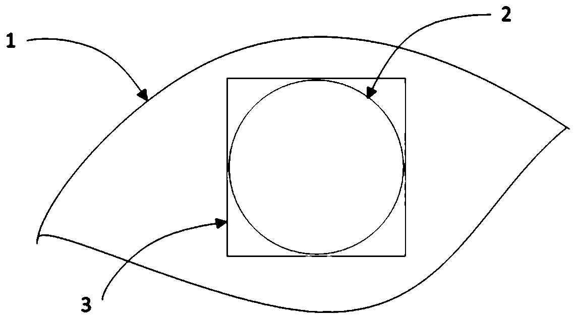 Rapid iris detection method based on convolutional neural network