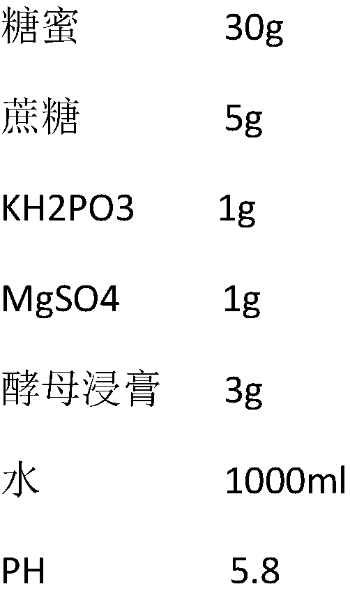 Liquid medium, preparation method for phlebopus portentosus industrial liquid stains and application of liquid medium