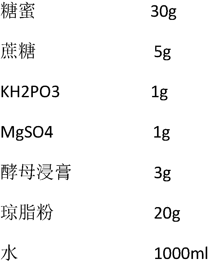 Liquid medium, preparation method for phlebopus portentosus industrial liquid stains and application of liquid medium