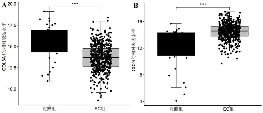 Application of gene marker combination in diagnosis of endometrial cancer