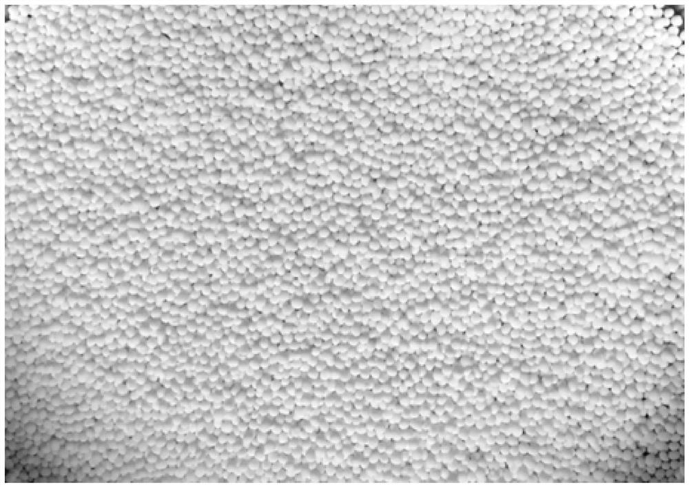 Preparation method of spherical MFI topological structure all-silicon molecular sieve catalyst containing trace rare earth ions and preparation method of caprolactam