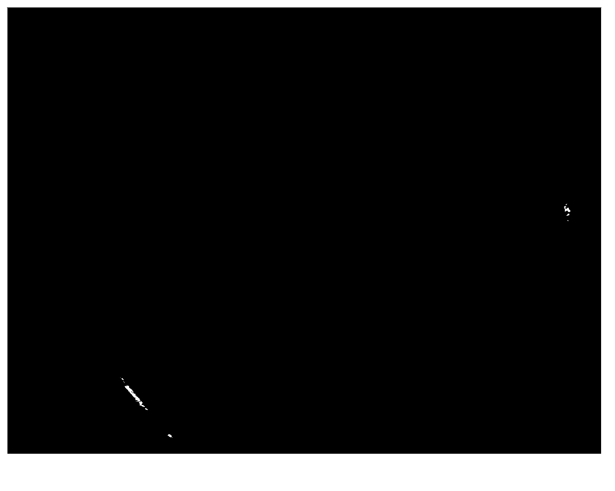 Method for detoxifying and reproducing helianthus tuberosus quickly