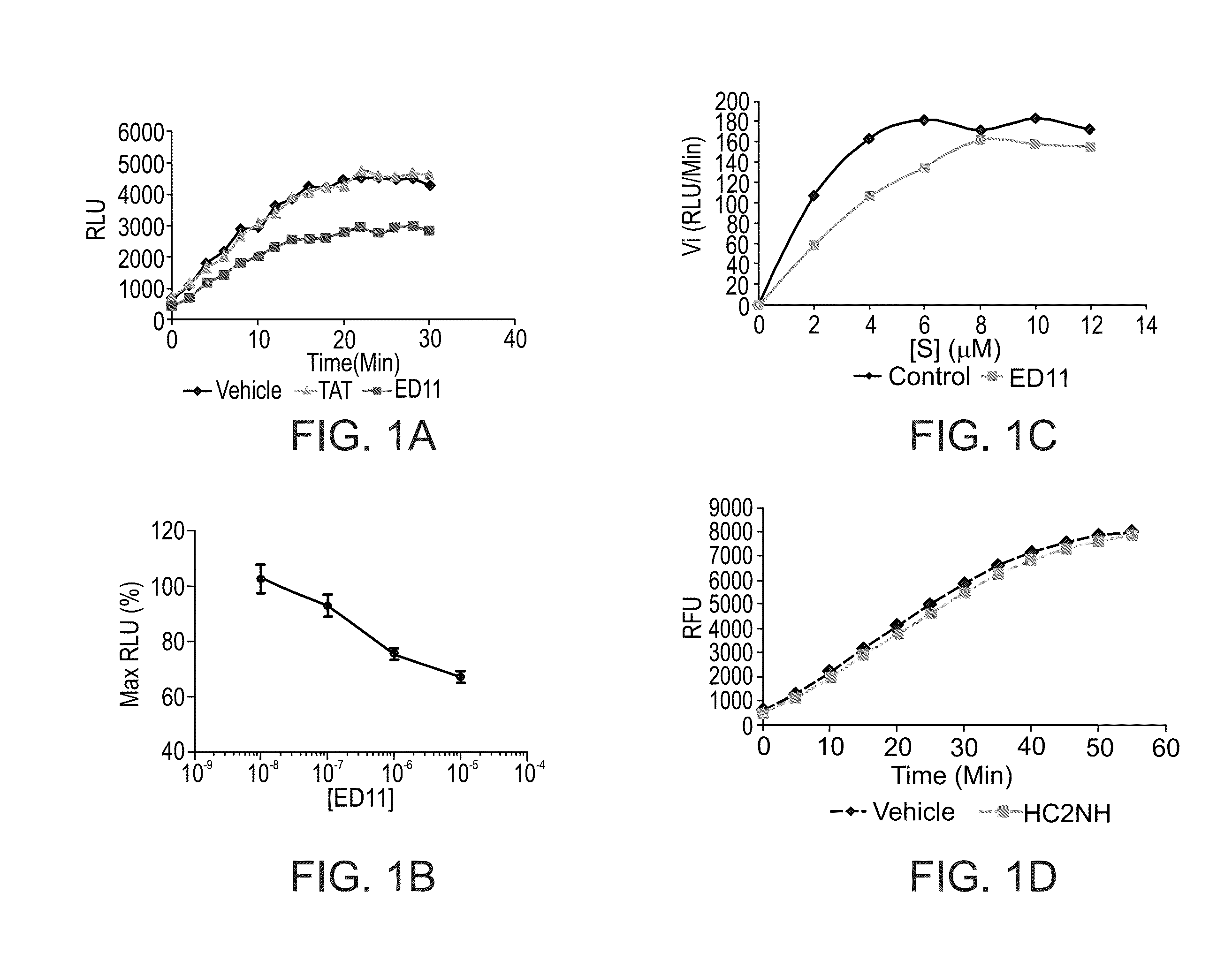 Peptides for the treatment of neurodegenerative diseases