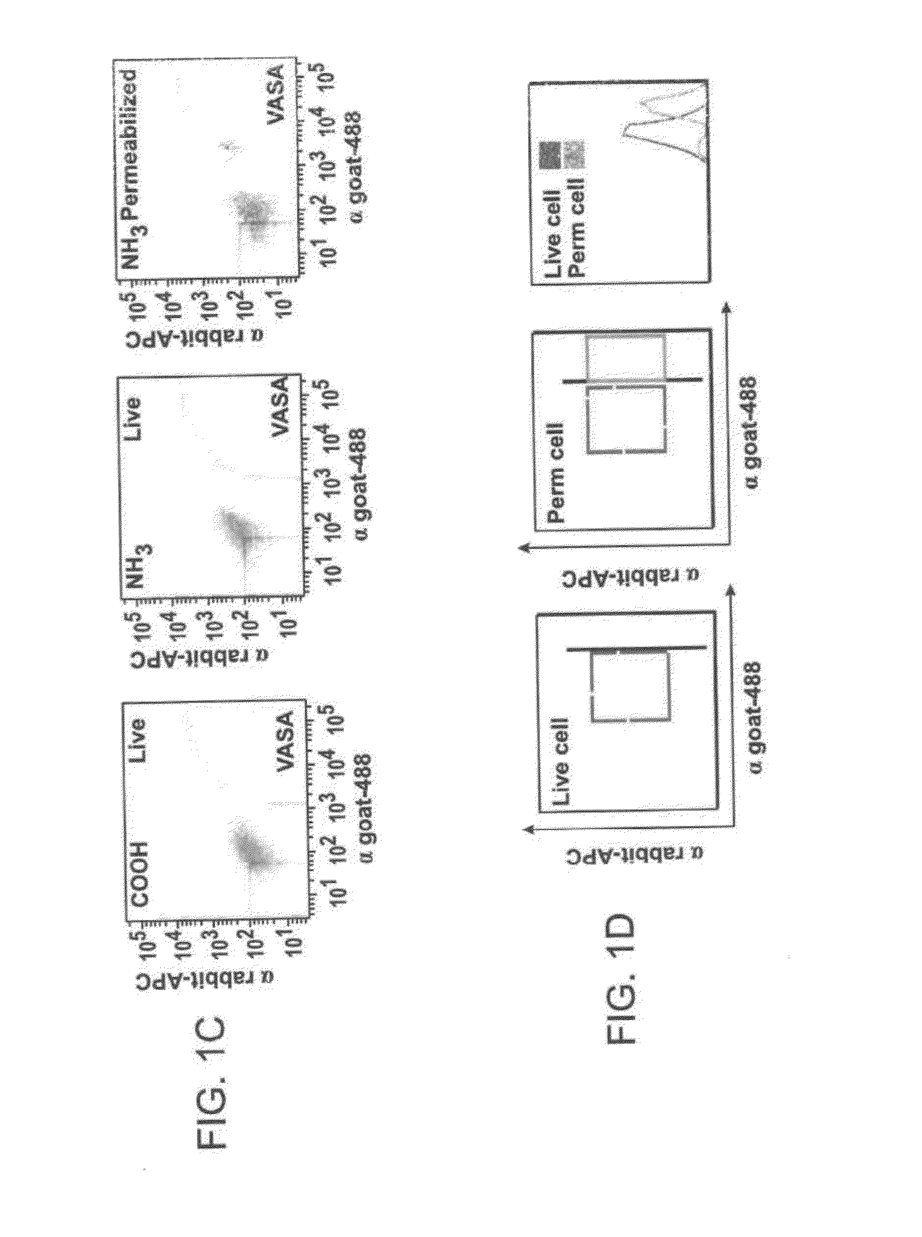 Compositions and Methods for Enhancing Bioenergetic Status in Female Germ Cells