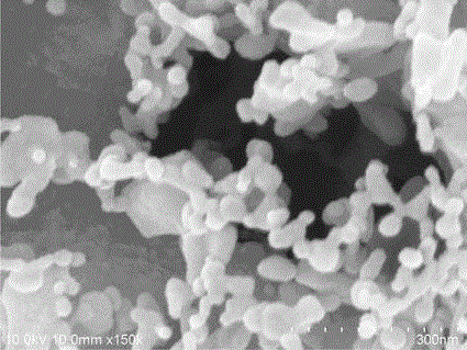 A novel carbon-based monolithic solid acid catalyst and its preparation and application in the preparation of biodiesel