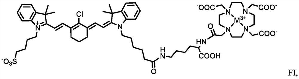 DZ-1-Lys-DOTA conjugate compounded with radioactive metal and application of DZ-1-Lys-DOTA conjugate