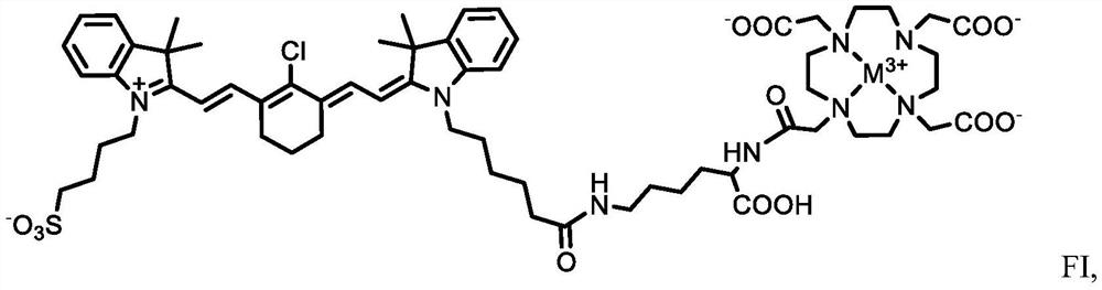 DZ-1-Lys-DOTA conjugate compounded with radioactive metal and application of DZ-1-Lys-DOTA conjugate