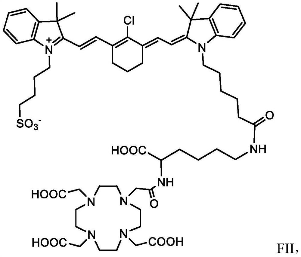 DZ-1-Lys-DOTA conjugate compounded with radioactive metal and application of DZ-1-Lys-DOTA conjugate