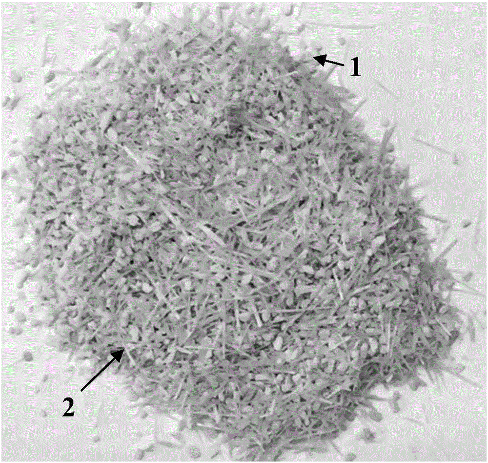 Method for separating parenchyma cells from fibers in bamboo wood