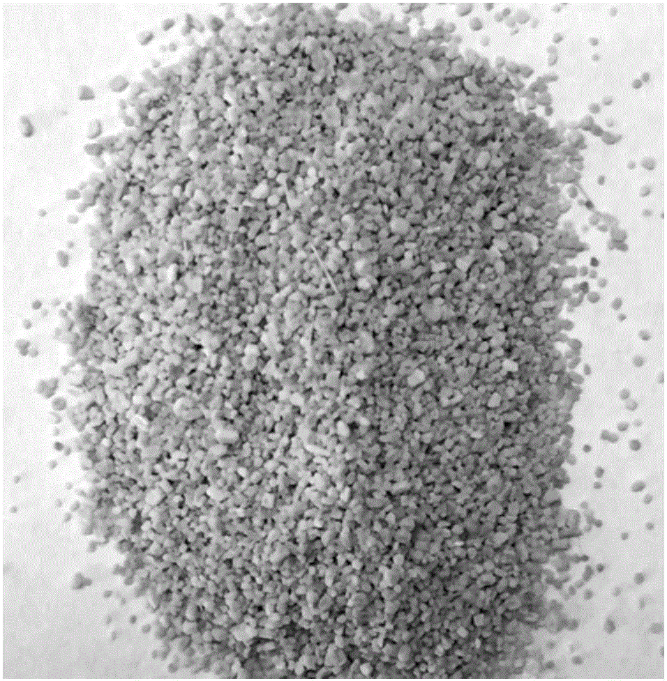 Method for separating parenchyma cells from fibers in bamboo wood