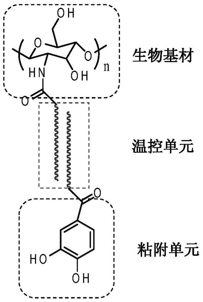 Oral ulcer hydrogel sticker film with temperature-controlled adhesion and administration functions and preparation method of oral ulcer hydrogel sticker film