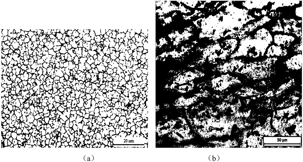 Method for refining metal solidification structure through combination effect of magnetic field and vibration