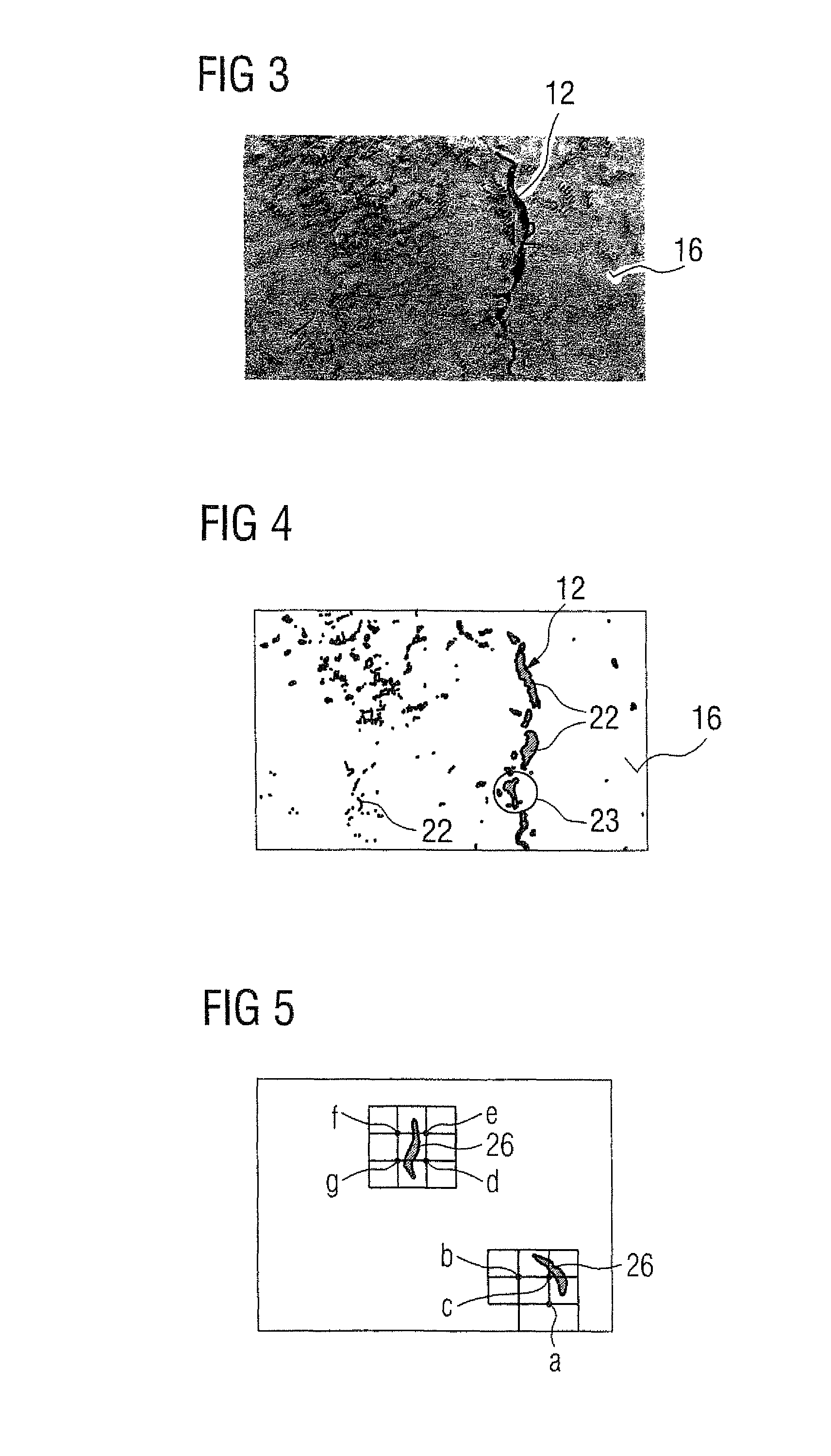 Apparatus for the optical inspection of the thermal protection tiles of a space shuttle