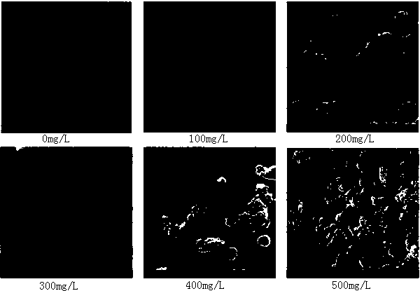 Preparing method of metal-graphene composite electroplating material