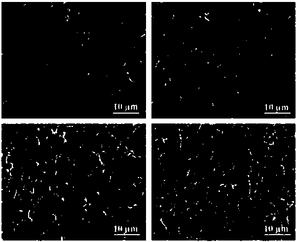 Preparing method of metal-graphene composite electroplating material