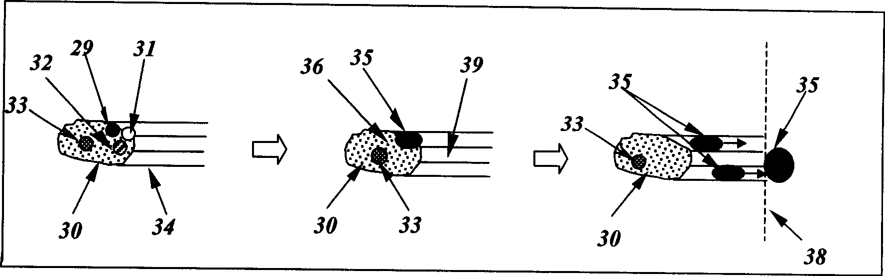 Flue-gas processing technique based on adsorbent-polymer composite material