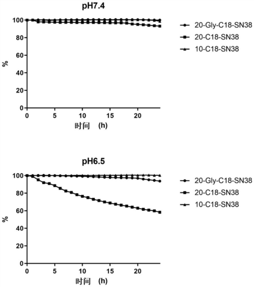 7-ethyl-10-hydroxycamptothecin derivative prodrug non-covalently bound with human serum albumin, and preparation and application of 7-ethyl-10-hydroxycamptothecin derivative prodrug