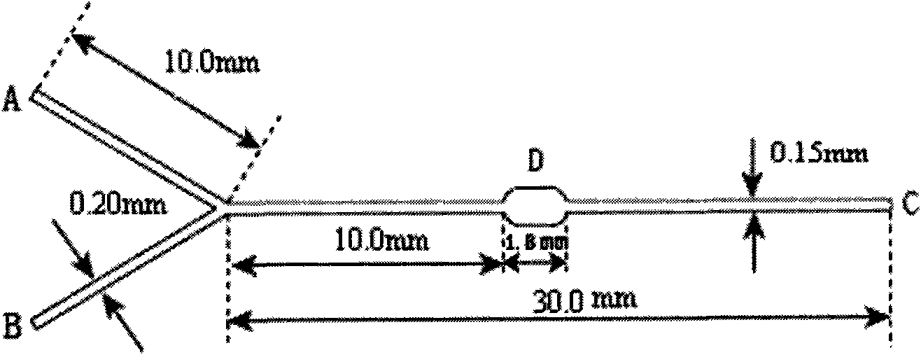 Cell sorter micro-fluidic chip based on immunomagnetic separation technology and application thereof in aspect of enrichment of rare cells