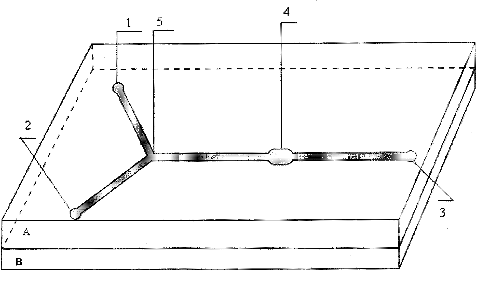 Cell sorter micro-fluidic chip based on immunomagnetic separation technology and application thereof in aspect of enrichment of rare cells