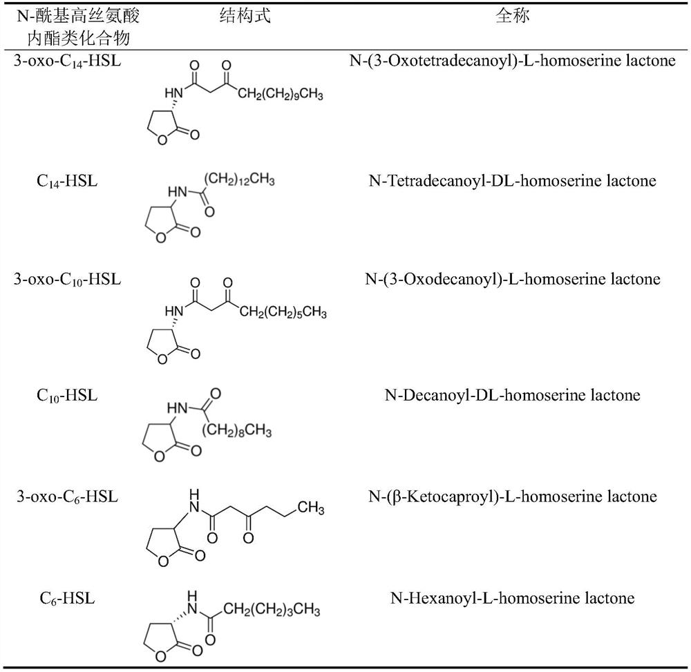 A method for improving the impact load resistance of heavy metal pollution in sewage biological denitrification system