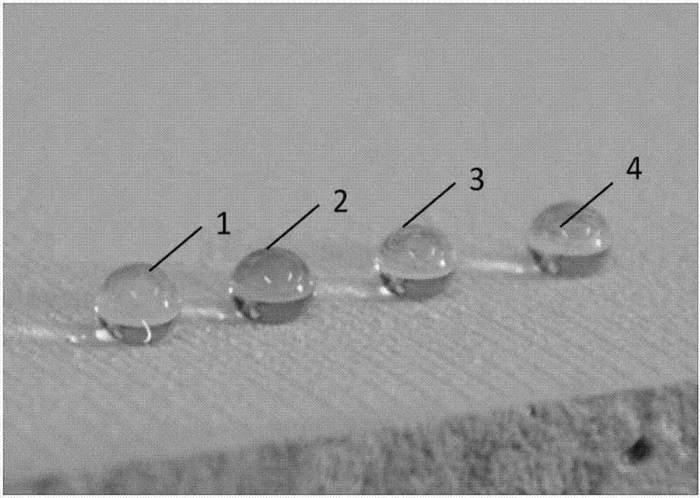 Method for preparing durable super-amphiphobic coatings capable of being sprayed