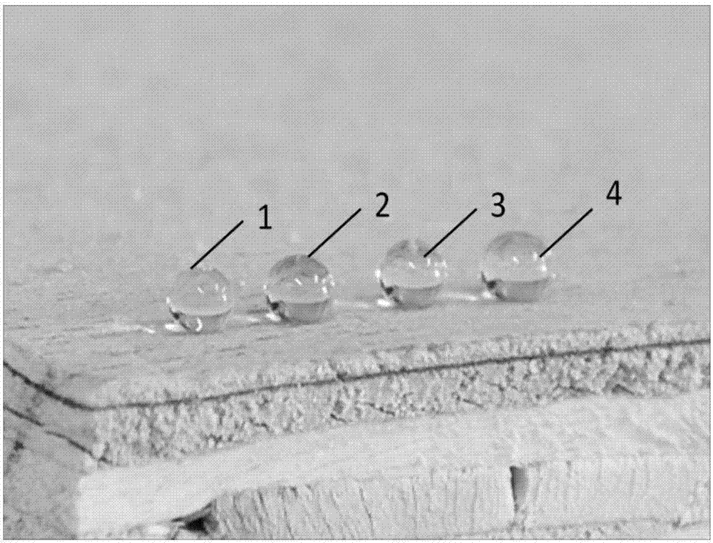 Method for preparing durable super-amphiphobic coatings capable of being sprayed