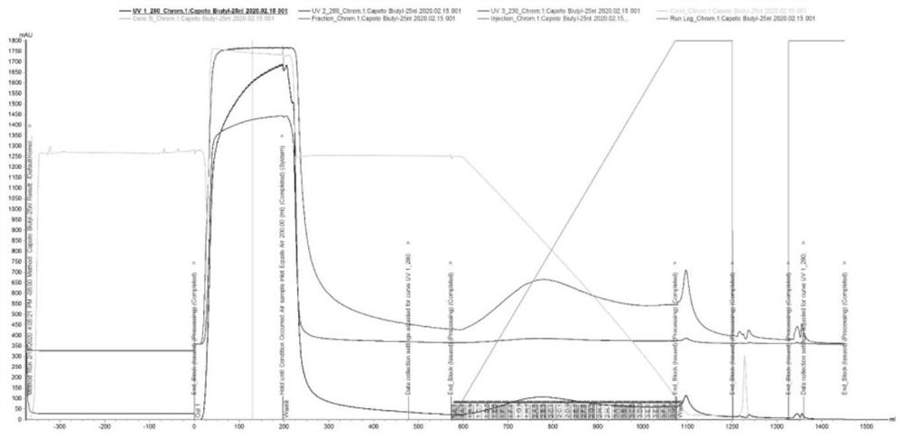 M-MLV reverse transcriptase and preparation method thereof