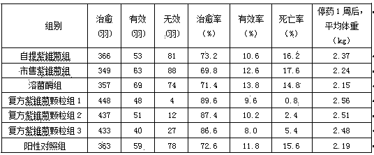 Compound echinacea purpurea preparation and preparation method and application thereof