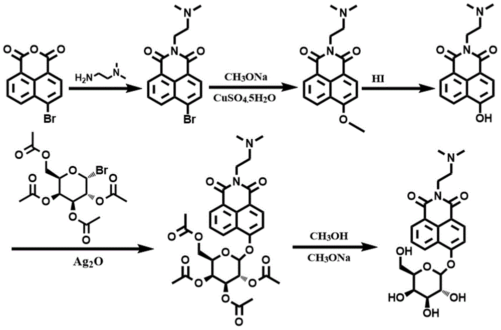 Fluorescence probe for detecting beta-galactosidase as well as preparation method and application of fluorescence probe