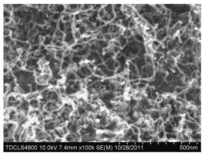 Preparation method of in-situ synthesized carbon nanotube reinforced Mg-matrix composite