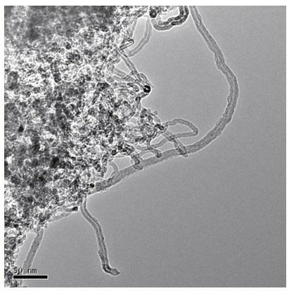 Preparation method of in-situ synthesized carbon nanotube reinforced Mg-matrix composite