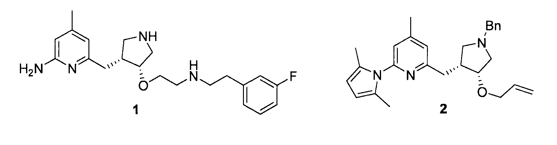 Chiral Pyrrolidine Core Compounds en route to Inhibitors of Nitric Oxide Synthase