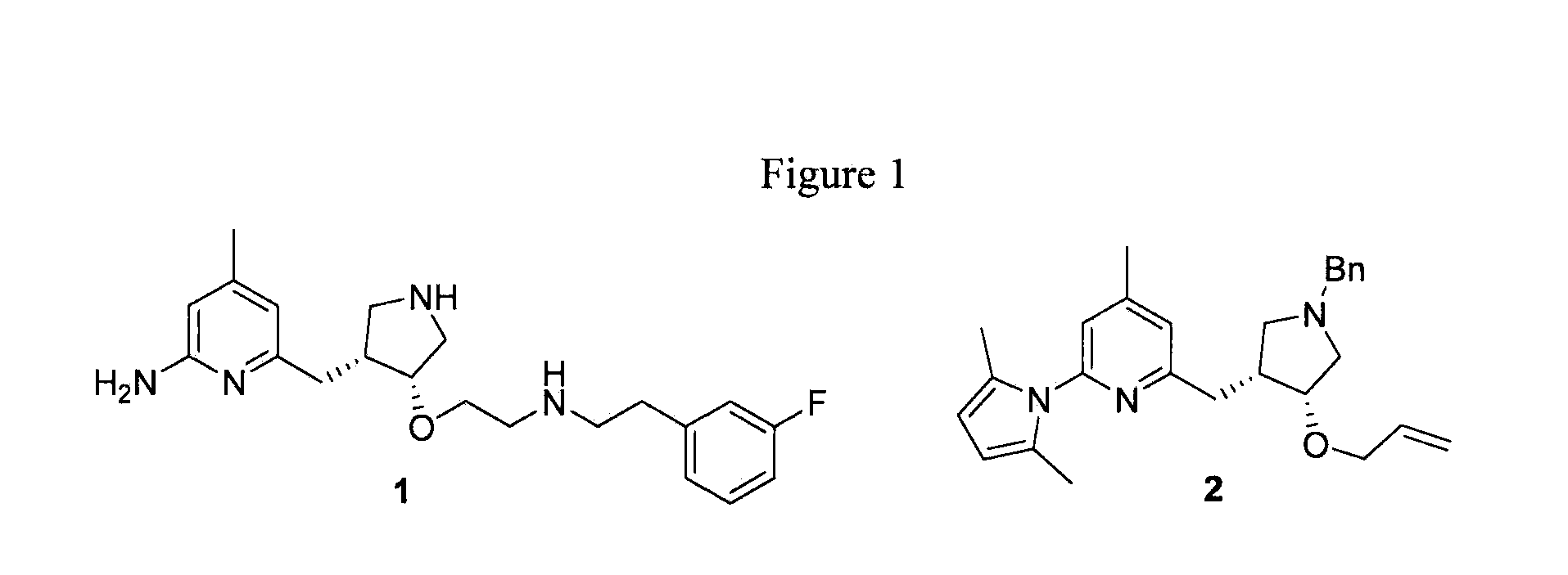 Chiral Pyrrolidine Core Compounds en route to Inhibitors of Nitric Oxide Synthase