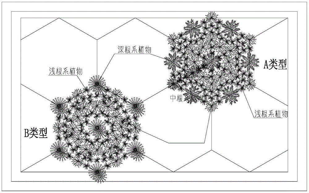 A plant configuration method for increasing the quantity and activity of wetland microorganisms