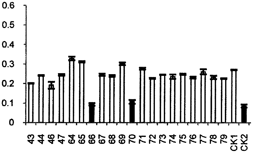 Antitubercular inhibitor screened target gene Rv2498c and application thereof