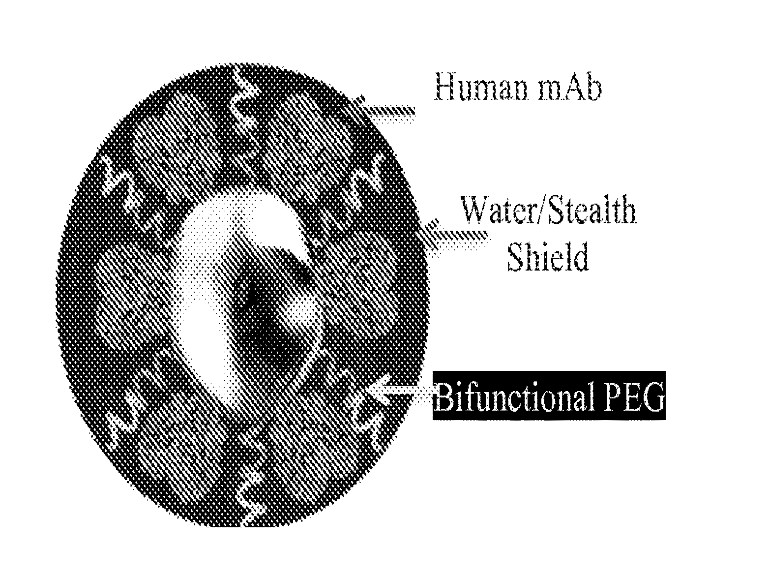 Nanotechnology Based Medicine for Biodefense