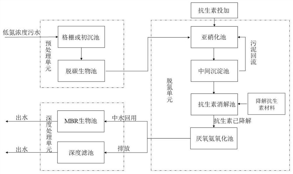 Low-ammonia-nitrogen-concentration sewage mainstream anaerobic ammonia oxidation system for limiting nitrifying bacteria through antibiotics and process thereof